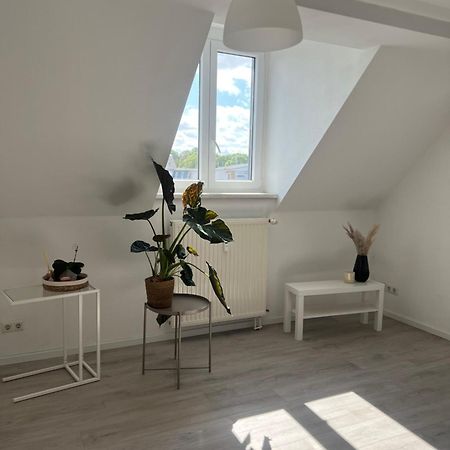 Cozy Work And Stay Pretty Home Chemnitz Buitenkant foto
