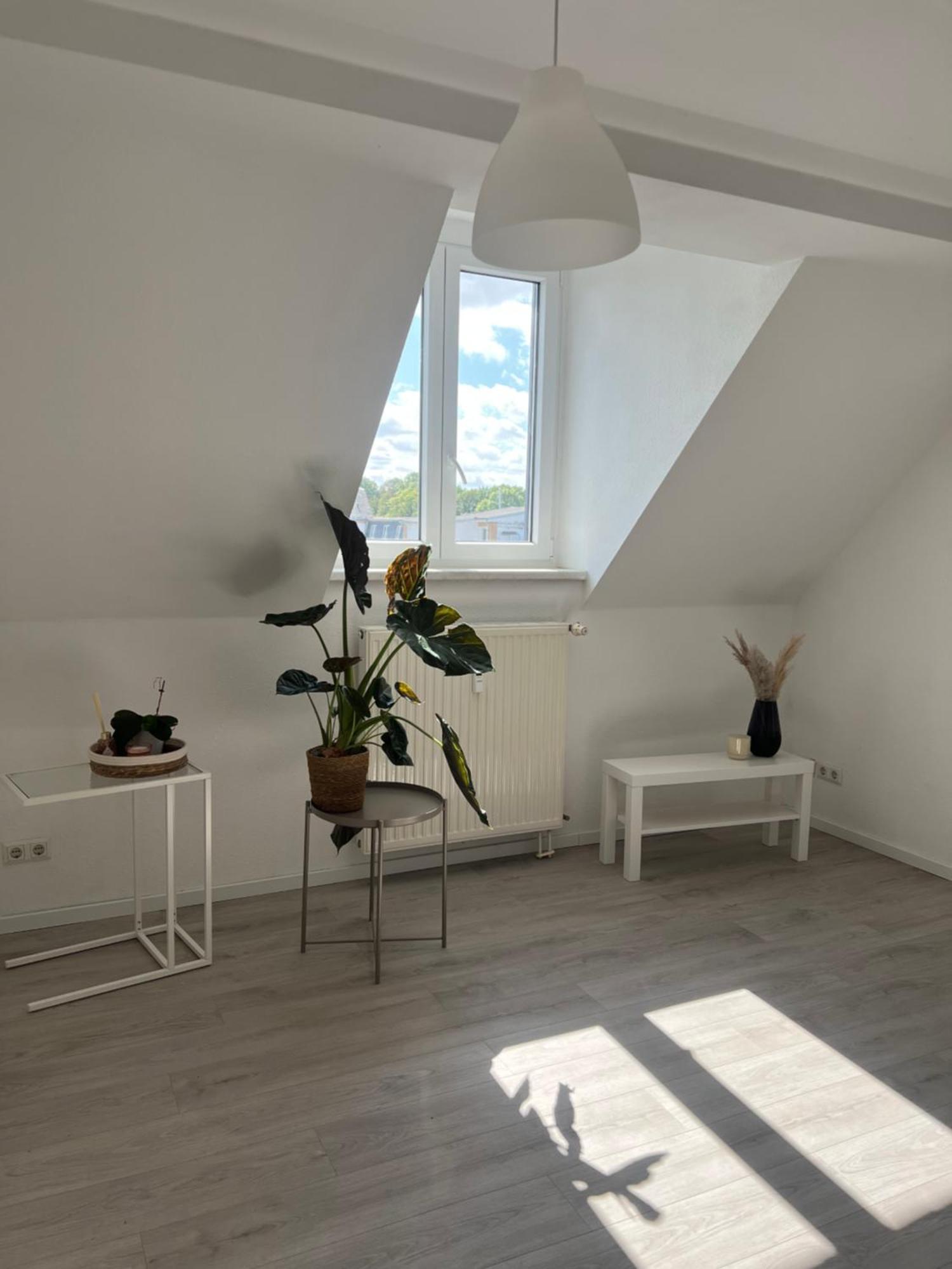 Cozy Work And Stay Pretty Home Chemnitz Buitenkant foto